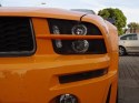 Ford Mustang brewki k